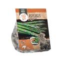 Baltus Asparagus Asperges Groen bloembollen per 2 stuks